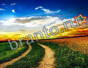 ответы на игру Найди животных Уровень 2564