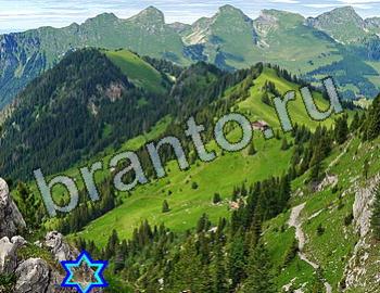 ответы на игру Найди животных Уровень 2565