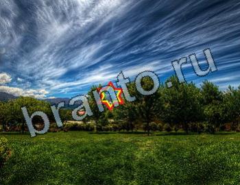 ответы на игру Найди животных Уровень 2567