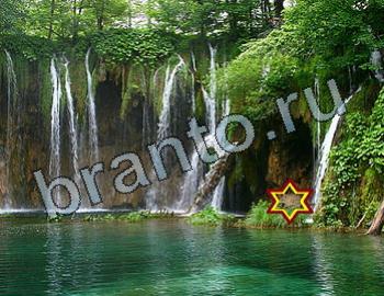 ответы на игру Найди животных Уровень 2570