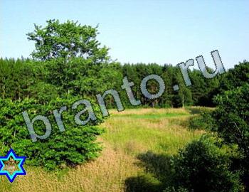 ответы на игру Найди животных Уровень 2571