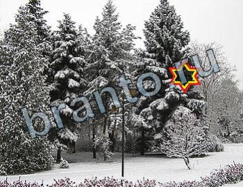 ответы на игру Найди животных Уровень 2574