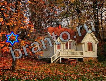 ответы на игру Найди животных Уровень 2577