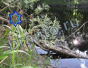 ответы на игру Найди животных Уровень 2580