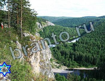 ответы к игре Найди животных Уровень 2583