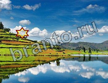 ответы на игру Найди животных Уровень 2584