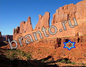 Найди животных Ответы Уровень 2589