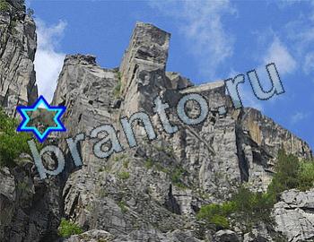 ответы бесплатно игра Найди животных Уровень 2590