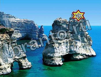 ответы на игру Найди животных Уровень 2592