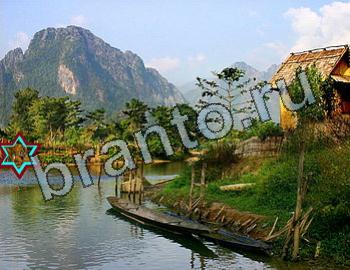 подсказки Найди животных Уровень 2594