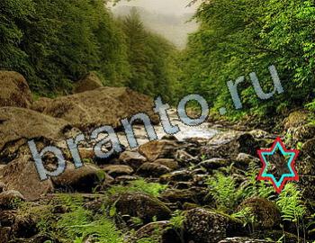 помощь на игру Найди животных Уровень 2599