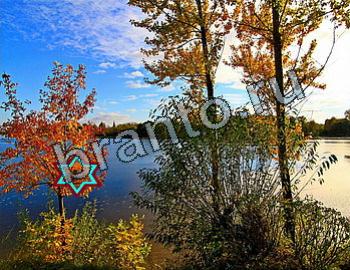 Найди животных игра ответы Уровень 2601