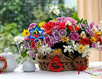 ответы на игру Найди животных Уровень 2602