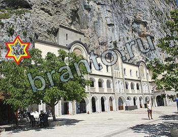 подсказки к игре Найди животных Уровень 2603