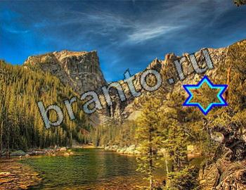 ответы на игру Найди животных Уровень 2607