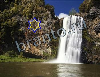 Найди животных подсказки в одноклассниках Уровень 2608