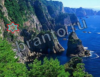 ответы на игру Найди животных Уровень 2609