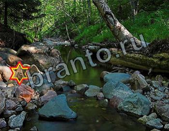 Игра Найди животных ответы Уровень 2610