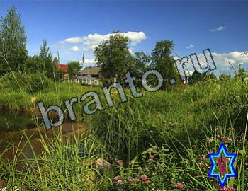 ответы на игру Найди животных Уровень 2611