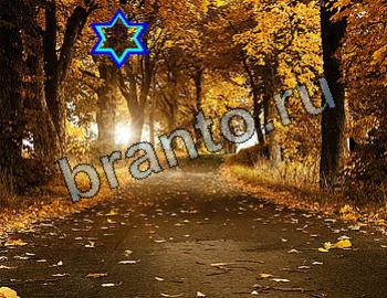 ответы на игру Найди животных Уровень 2612