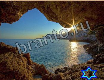 ответы на игру Найди животных Уровень 2613