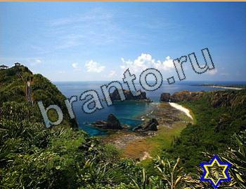 ответы на игру Найди животных Уровень 2615