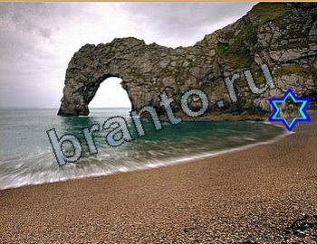 ответы на игру Найди животных Уровень 2618