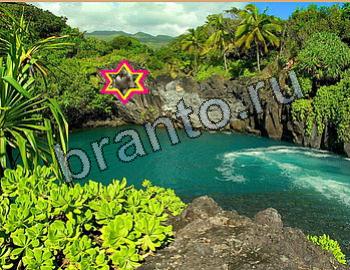 ответы на игру Найди животных Уровень 2623