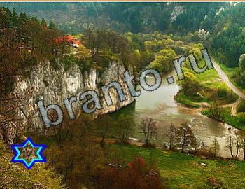 ответы на игру Найди животных Уровень 2625