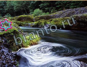 ответы на игру Найди животных Уровень 2627