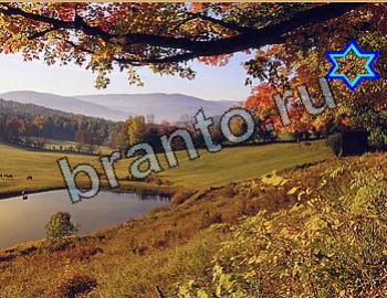 подсказки к игре Найди животных Уровень 2628