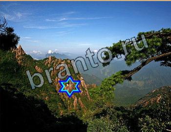 ответы на игру Найди животных Уровень 2629