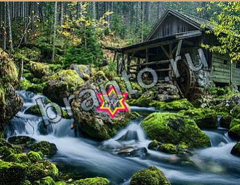 ответы на игру Найди животных Уровень 2630