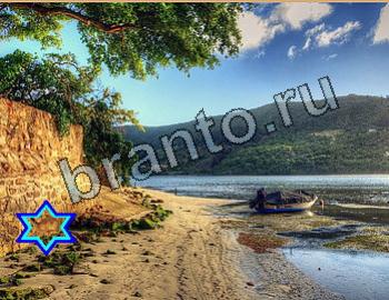 Найди животных ответы на игру Уровень 2631