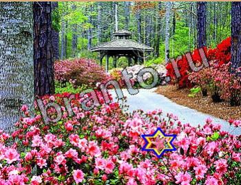 ответы к игре Найди животных Уровень 2633