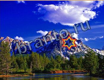 ответы на игру Найди животных Уровень 2634