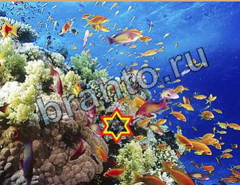 ответы на игру Найди животных Уровень 2635