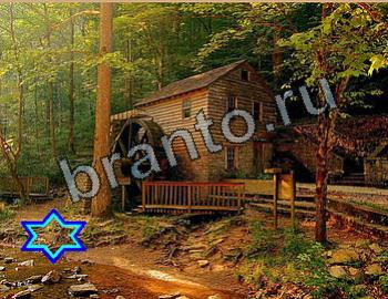 Найди животных Уровень 2637