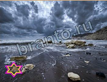 ответы на игру Найди животных Уровень 2638