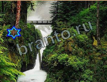 Найди животных Ответы Уровень 2639