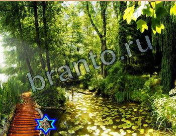 ответы на игру Найди животных Уровень 2642