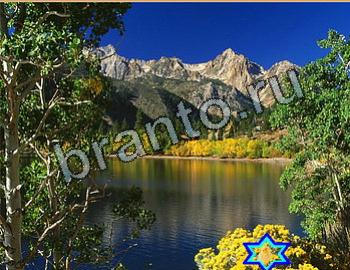 Игра Найди животных ответы Уровень 2643