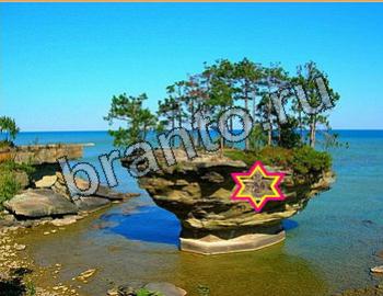 сборник ответов к игре Найди животных Уровень 2646