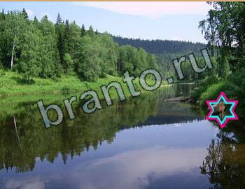 ответы на игру Найди животных одноклассники Уровень 2648