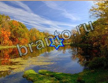 помощь на игру Найди животных Уровень 2649