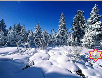 ответы на игру Найди животных в контакте Уровень 2650