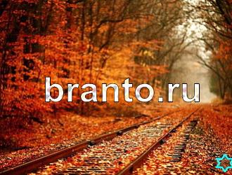 ответы на игру Найди животных Уровень 351