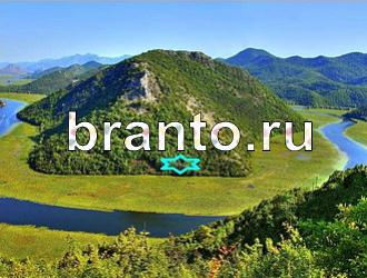 ответы на игру Найди животных Уровень 352