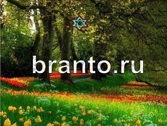 ответы на игру Найди животных Уровень 353