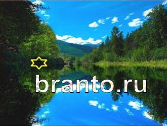 ответы на игру Найди животных Уровень 356